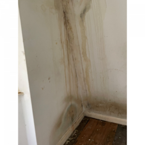 Damp in a corner of a room - Anderson Wilde & Harris - expert building surveyors