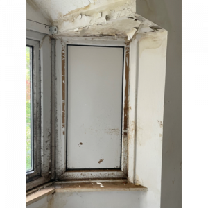 Damp surrounding a window frame and damaged ceiling - Anderson Wilde & Harris - expert building surveyors