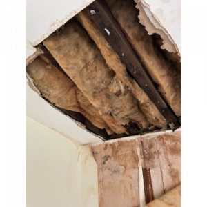 Collapsed ceiling caused by damp - Anderson Wilde & Harris - expert building surveyors