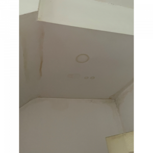 Damp patch on a ceiling - Anderson Wilde & Harris - expert building surveyors