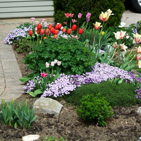 Maximising Valuation: How Your Garden and Outdoor Space Add Value This Spring