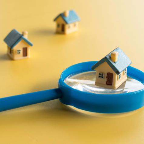 The Difference Between a Survey and a Valuation